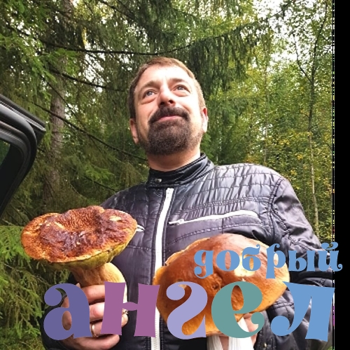 Водитель Дмитрий