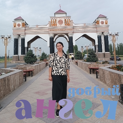 Домработница Бегимай