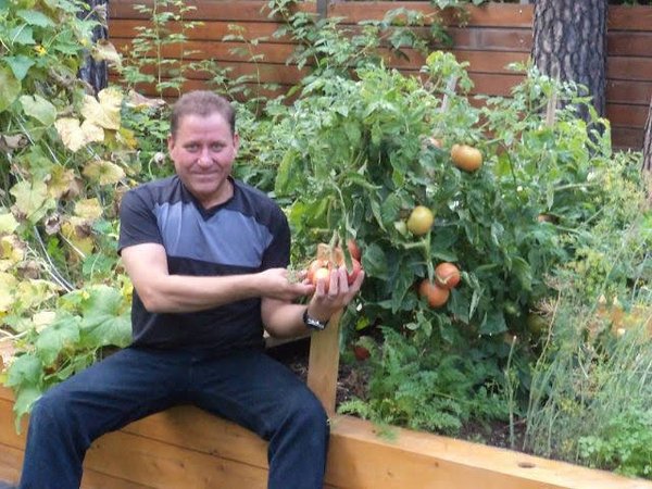 Мини огород, такие помидоры я выращивал в лесу в Барвихе, в Садах Майендорф.