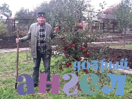 Садовник Алексей