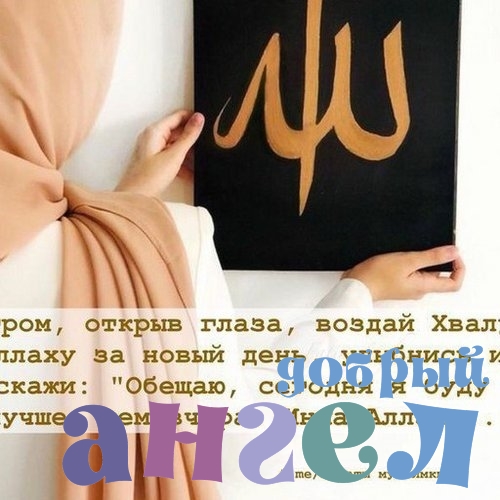 Сиделка Созида