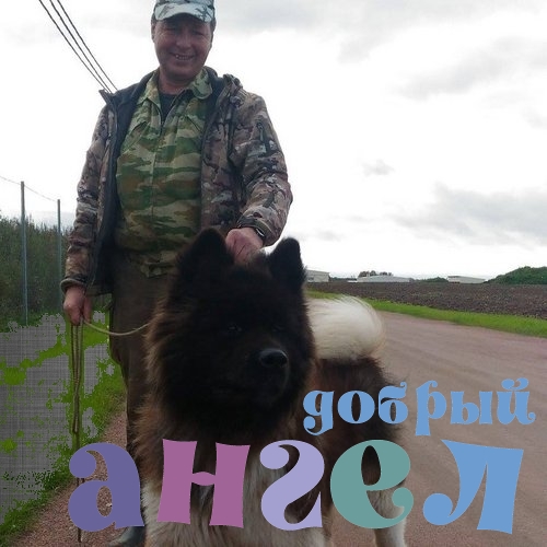 Садовник Владимир