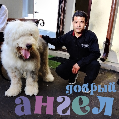 Семейная пара Замирбек