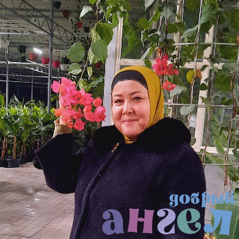 Семейная пара Шахло