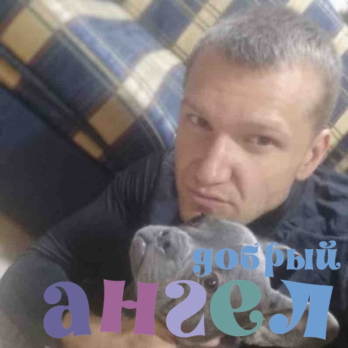 Водитель Александр